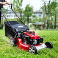 Gas Mower